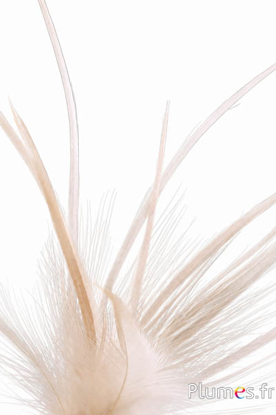 Airone - 13-16 cm - bianco-crema naturale